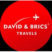 David and Brics Travels Limited logo - Similar company to 1Capacity