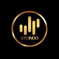 DFXINDO logo - Similar company to Zend | Semarang