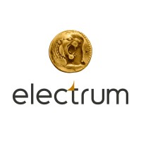 Electrum Capital logo - Similar company to Bizzsetu