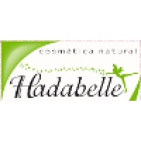 Compaine logo - Similar company to Softdirex