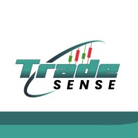 Trade Sense Ltd logo - Similar company to Lightstorm.Ai