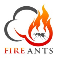 The Fire Ants