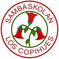 Los Copihues logo - Similar company to Mbe - Drg Solutions Sl