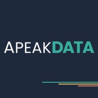 ApeakData logo - Similar company to Byon It Solutions