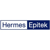 Hermes-Epitek Corporation Pte Ltd logo - Similar company to Hermes Semiconductors Pvt Ltd