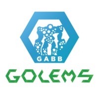 GOLEMS G.A.B.B. OÜ logo - Similar company to Drupal User Group Belgium (Dug Be Vzw)