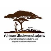 African Blackwood Safaris logo - Similar company to Now Futures