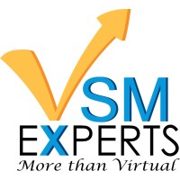 VSM Experts logo - Similar company to Dimat
