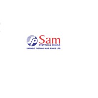 SamKrg Pistons and Rings Limited logo - Similar company to Advance Infosystems And Data Management