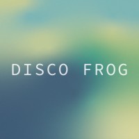 Disco Frog Studio logo - Similar company to Packlab