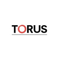 GRUPO TORUS logo - Similar company to Constructora Codapsa