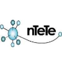 The nTete Group logo - Similar company to Prti Inc