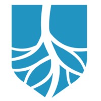 Journal of Critical Limb Ischemia logo - Similar company to Cardiovascular Innovations Foundation