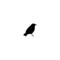 Black Bird: The Music Agency logo - Similar company to Tunitemusic