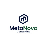 MetaNova Consulting logo - Similar company to Inemuri