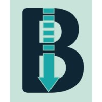 BelowZero logo - Similar company to Ava