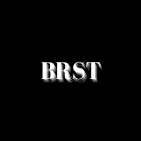 BRST Marketing logo - Similar company to Greco Electrical