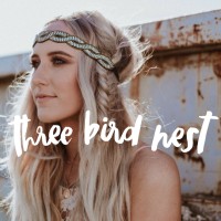 Three Bird Nest logo - Similar company to Ee&A Inc