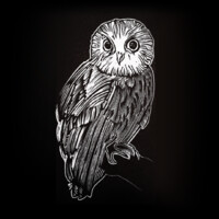 noesya logo - Similar company to Temesis