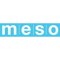 MESO Marketing