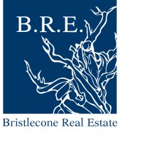 Bristlecone Real Estate logo - Similar company to Centrale Du Commerce