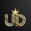 UD India Tech logo - Similar company to Codeworkss