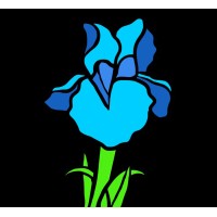 The Blue Iris Partnership logo - Similar company to Gen One Construction Ltd