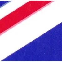 FANDOMACE LIMITED - UK Customs Clearance Agent. Central Asia Logistics & Independent Business Advice logo - Similar company to Customs Ni