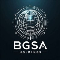 BGSA Holdings logo - Similar company to Mapple Technologies (Smc- Pvt. Ltd.)