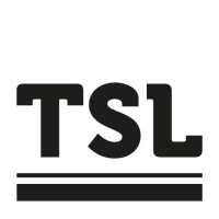 Third Stone Labs logo - Similar company to Bg Stone A/S
