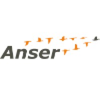 Anser logo - Similar company to Babysitting Inc