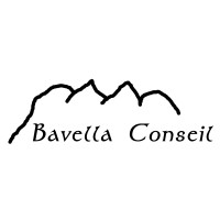 Bavella Conseil logo - Similar company to Capitaldata