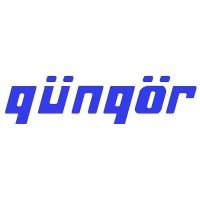Güngör Otomobil Yan San A.Ş logo - Similar company to Peevvy Minimal