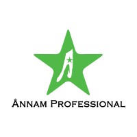 Annam Professional logo - Similar company to Amphi Studios