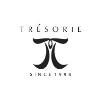 Tresorie logo - Similar company to Hypestore