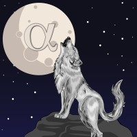 Wolfer Finance logo - Similar company to Liferight Business Advisors