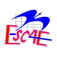 ESCAE NIAMEY logo - Similar company to Cfge