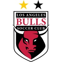 Los Angeles Bulls Soccer Club logo - Similar company to Seattle Celtic