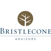 Bristlecone Advisors logo - Similar company to The Clarius Group