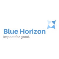 Blue Horizon Foundation logo - Similar company to Lisel - Lieu D’Initiatives Et De Services Aux Étudiants Au Luxembourg.