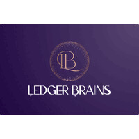 Ledger Brains logo - Similar company to Ledgerbrains