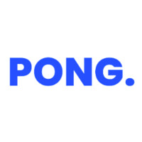 Pong Solutions logo - Similar company to Hexlit