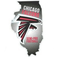 Chicago Falcons logo - Similar company to Skyway Charity
