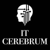 itCerebrum logo - Similar company to Technodiasoft