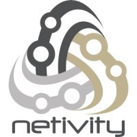netivity GmbH logo - Similar company to Easycode-It Ag