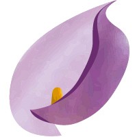Springalways Preserved & Fresh Cut Flowers logo - Similar company to Steelgrass
