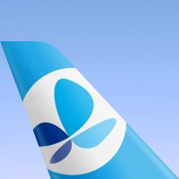 French bee logo - Similar company to Air Tahiti Nui