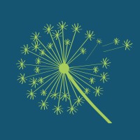 Launch Psychological Associates logo - Similar company to Proteus Wines