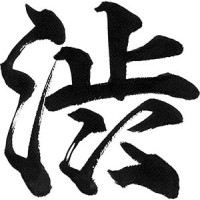Shibui Japanese Antiques logo - Similar company to Shibui Development Group