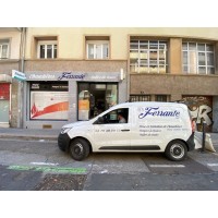 ferrante sav logo - Similar company to Entreprise Ferrante Sav